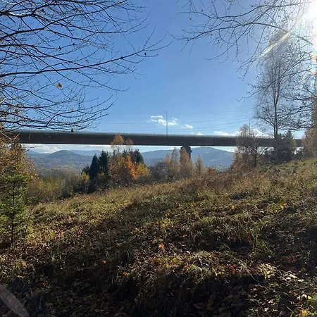 Zielona Laka